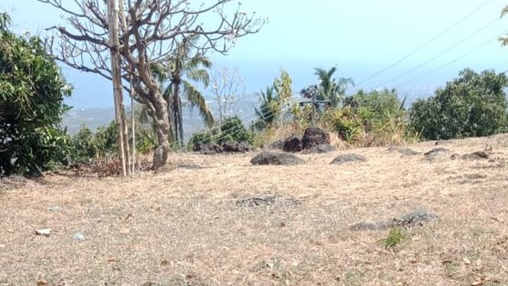 SEA VIEW LAND FOR SALE IN LOVINA