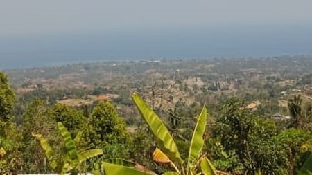 SEA VIEW LAND FOR SALE IN LOVINA