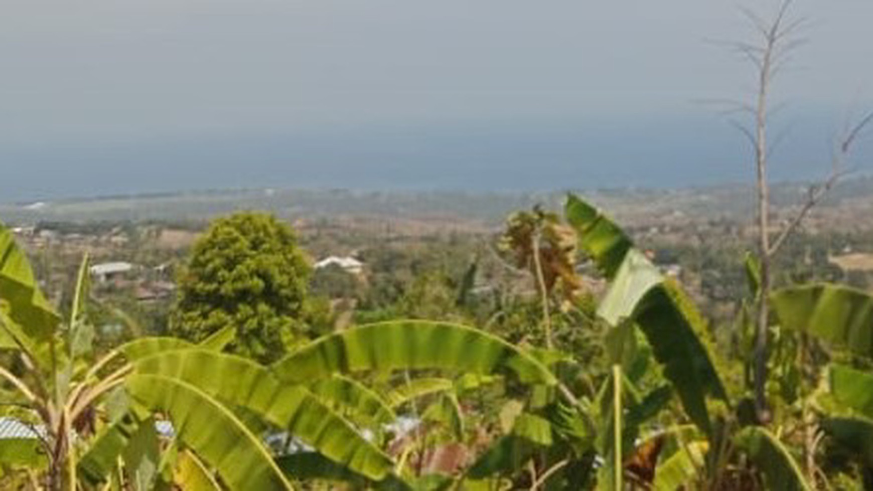 SEA VIEW LAND FOR SALE IN LOVINA