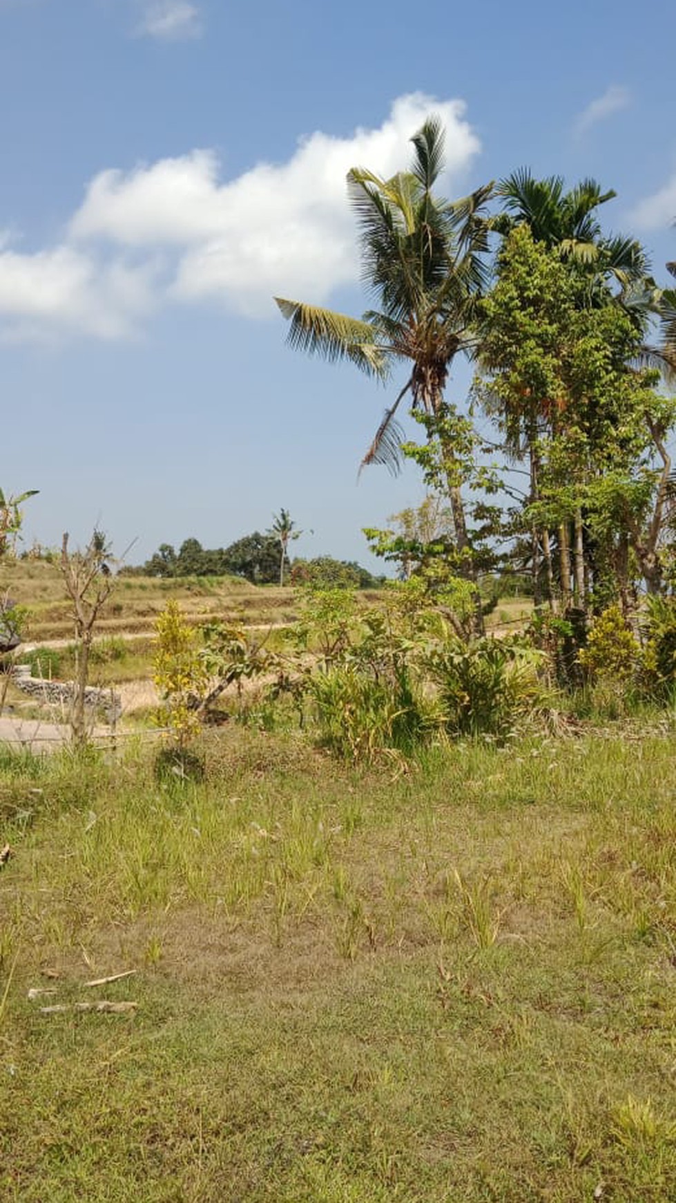 MOUNTAIN VIEW LAND FOR SALE IN LOVINA