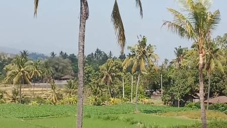 LAND FOR SALE WITH RICE FIELD VIEW