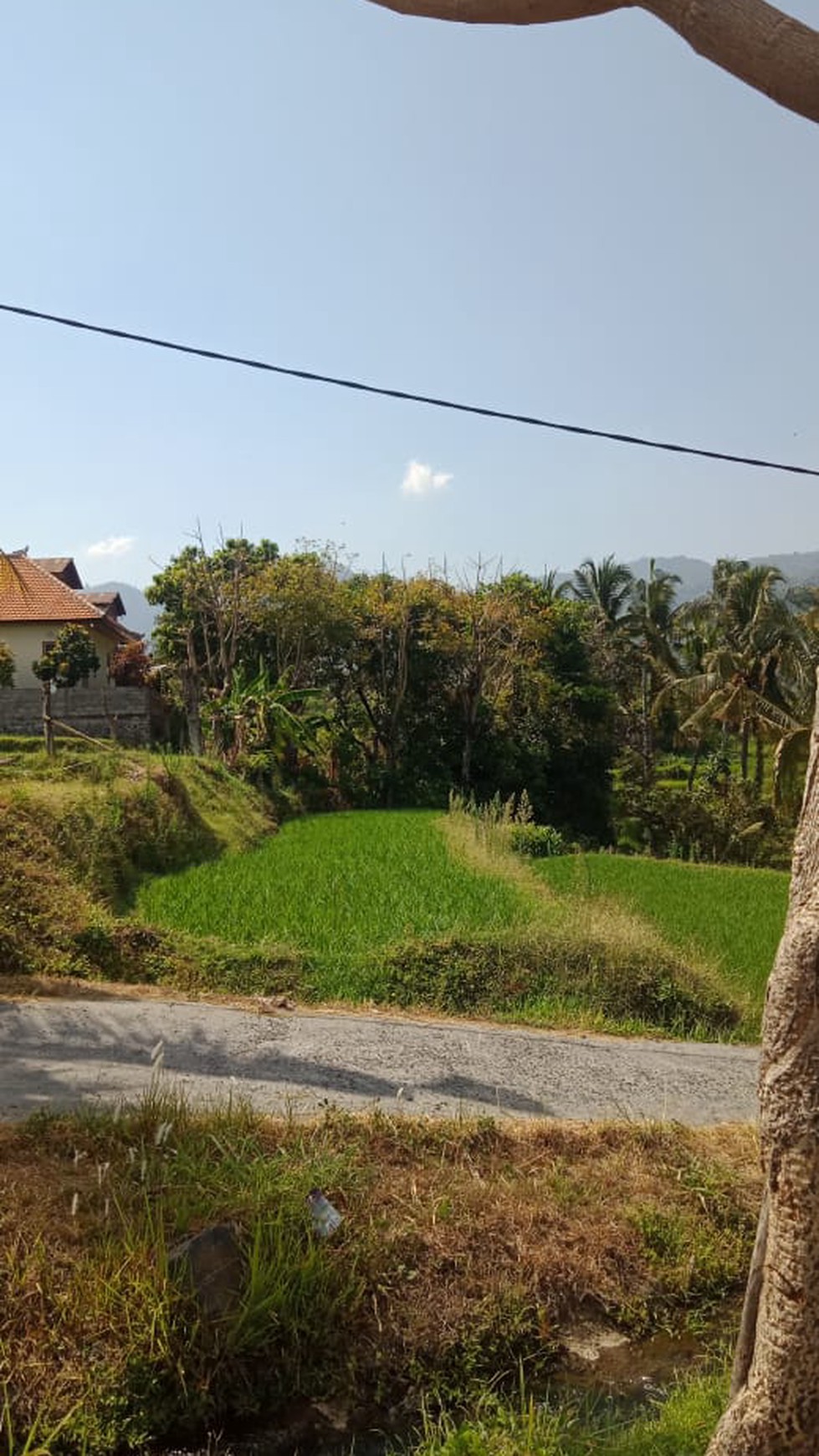 LAND FOR SALE WITH RICE FIELD VIEW