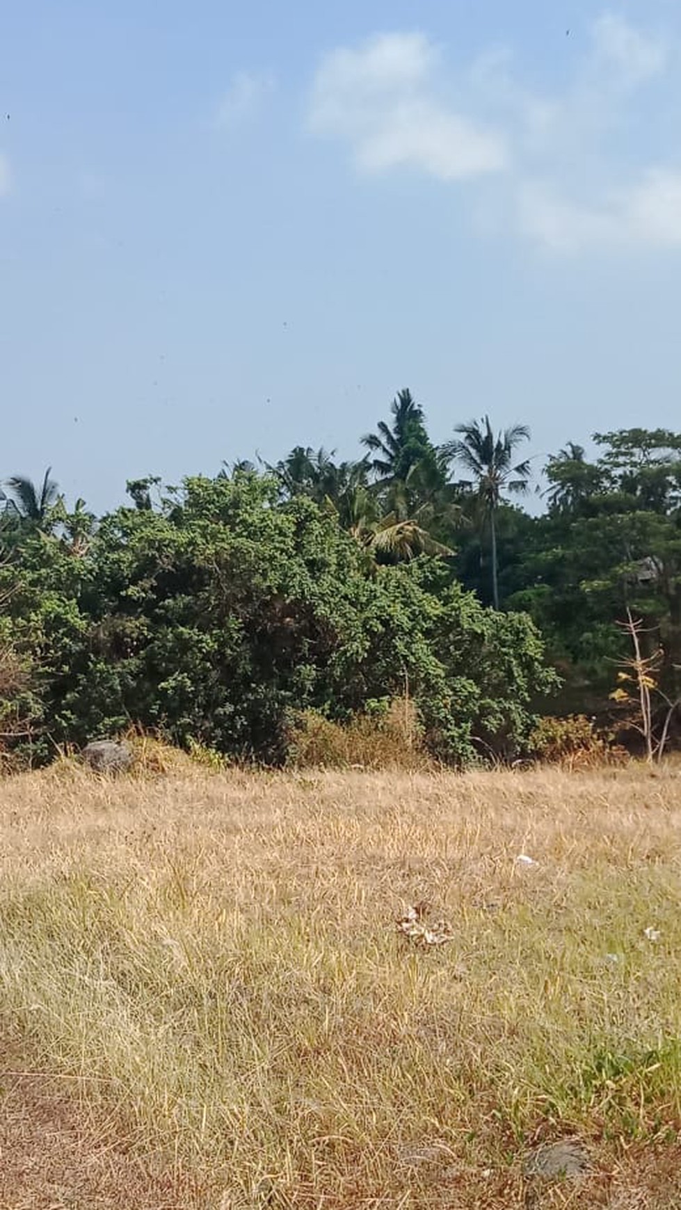 LAND FOR SALE WITH RICE FIELD VIEW