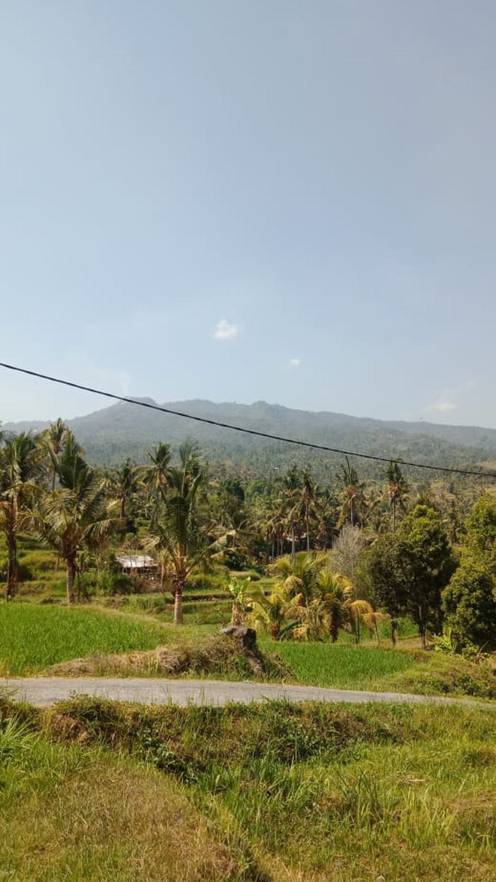 LAND FOR SALE WITH RICE FIELD VIEW