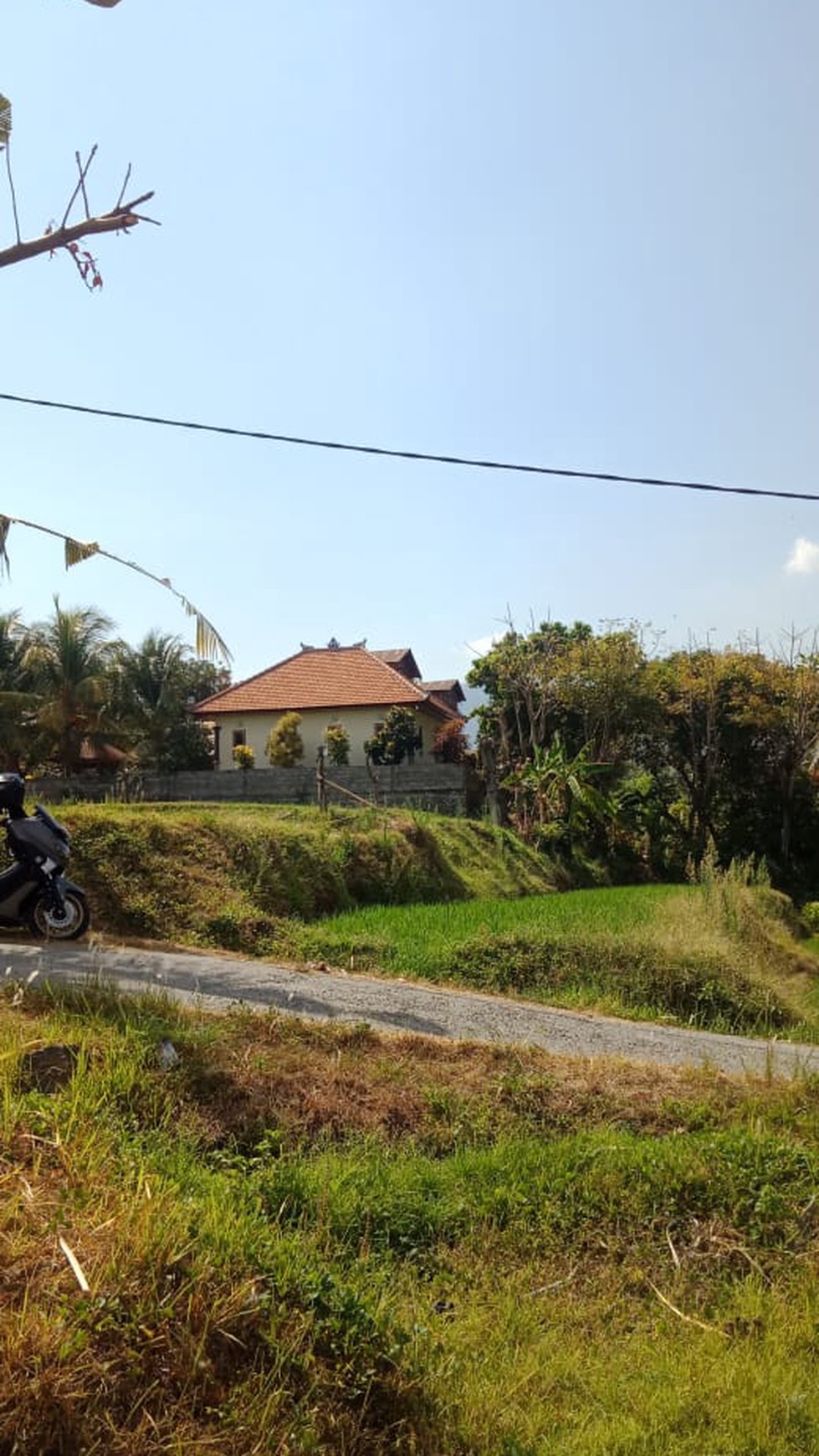 LAND FOR SALE WITH RICE FIELD VIEW