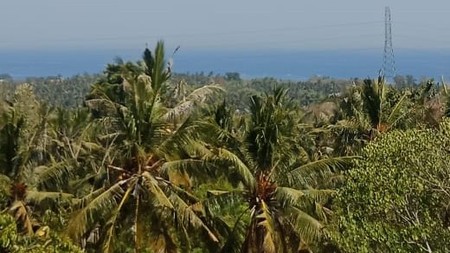 LAND FOR SALE IN LOVINA