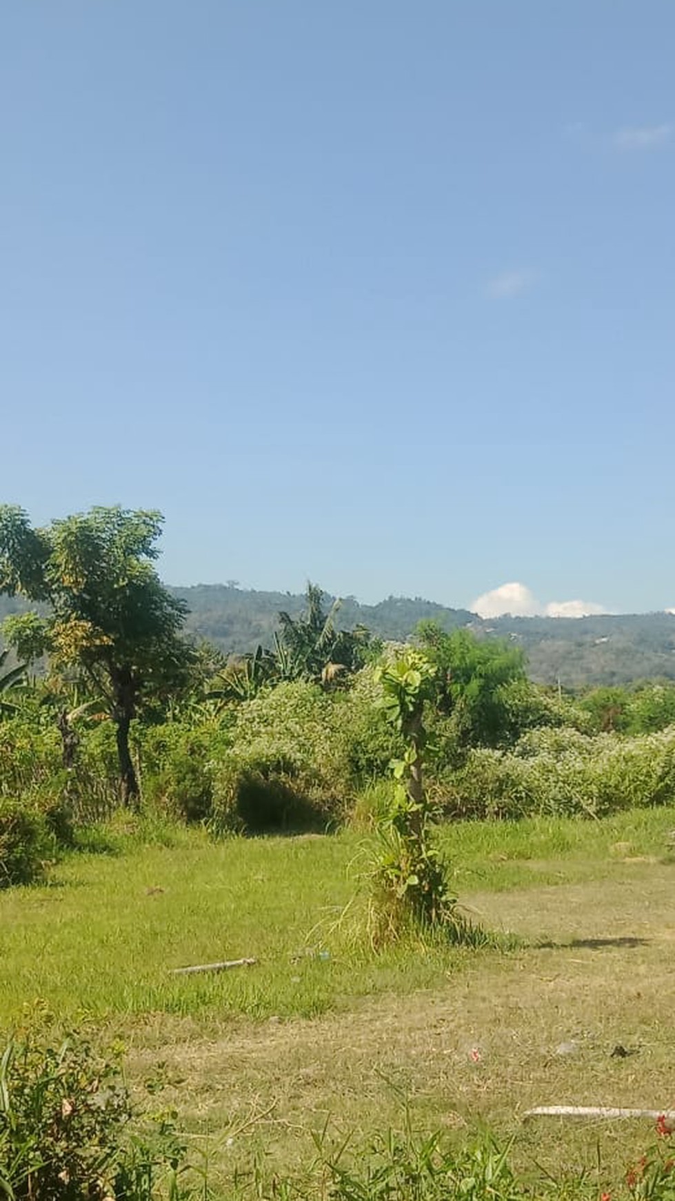 LAND FOR SALE NEARBY THE BEACH IN LOVINA