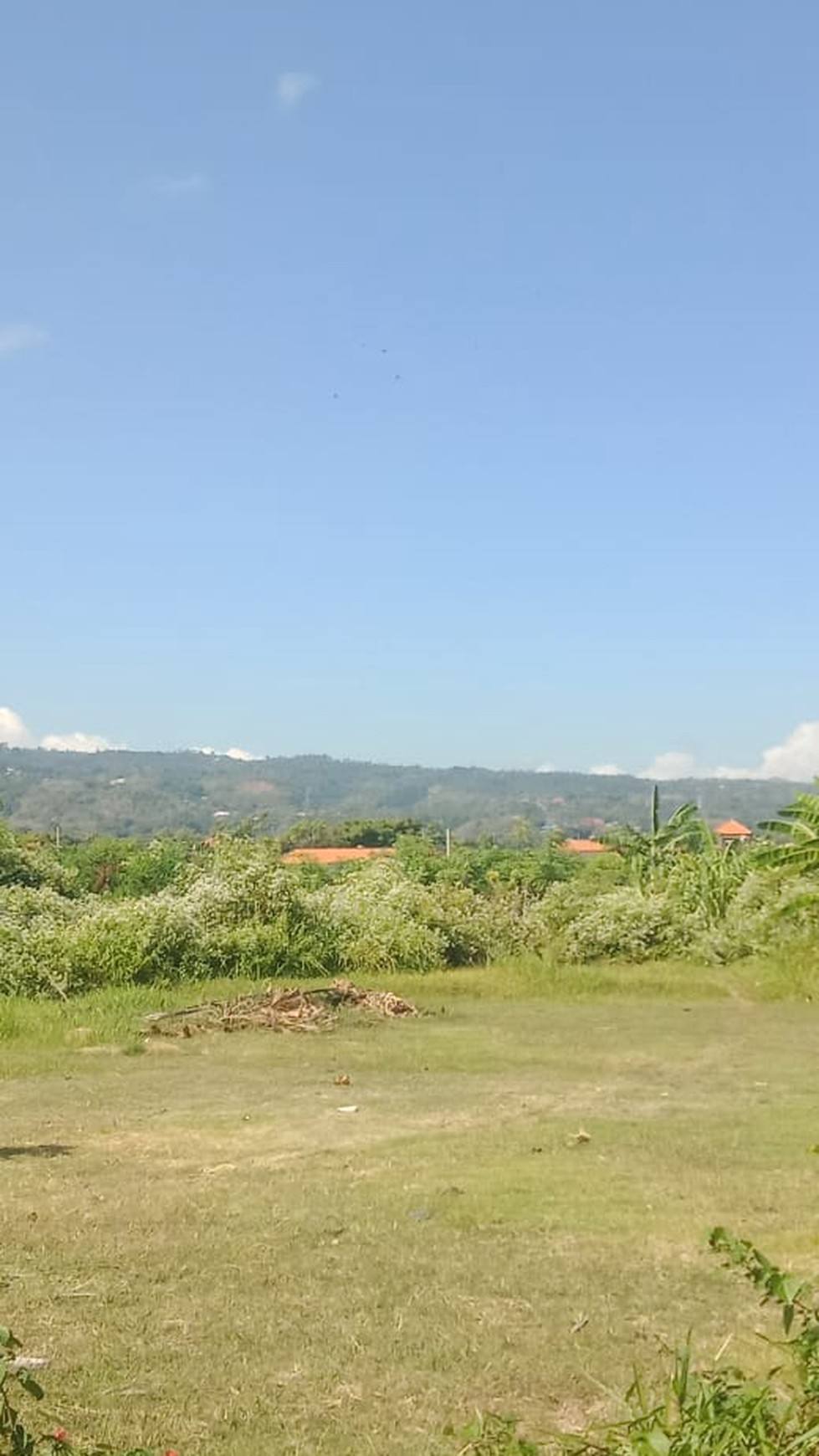 LAND FOR SALE NEARBY THE BEACH IN LOVINA