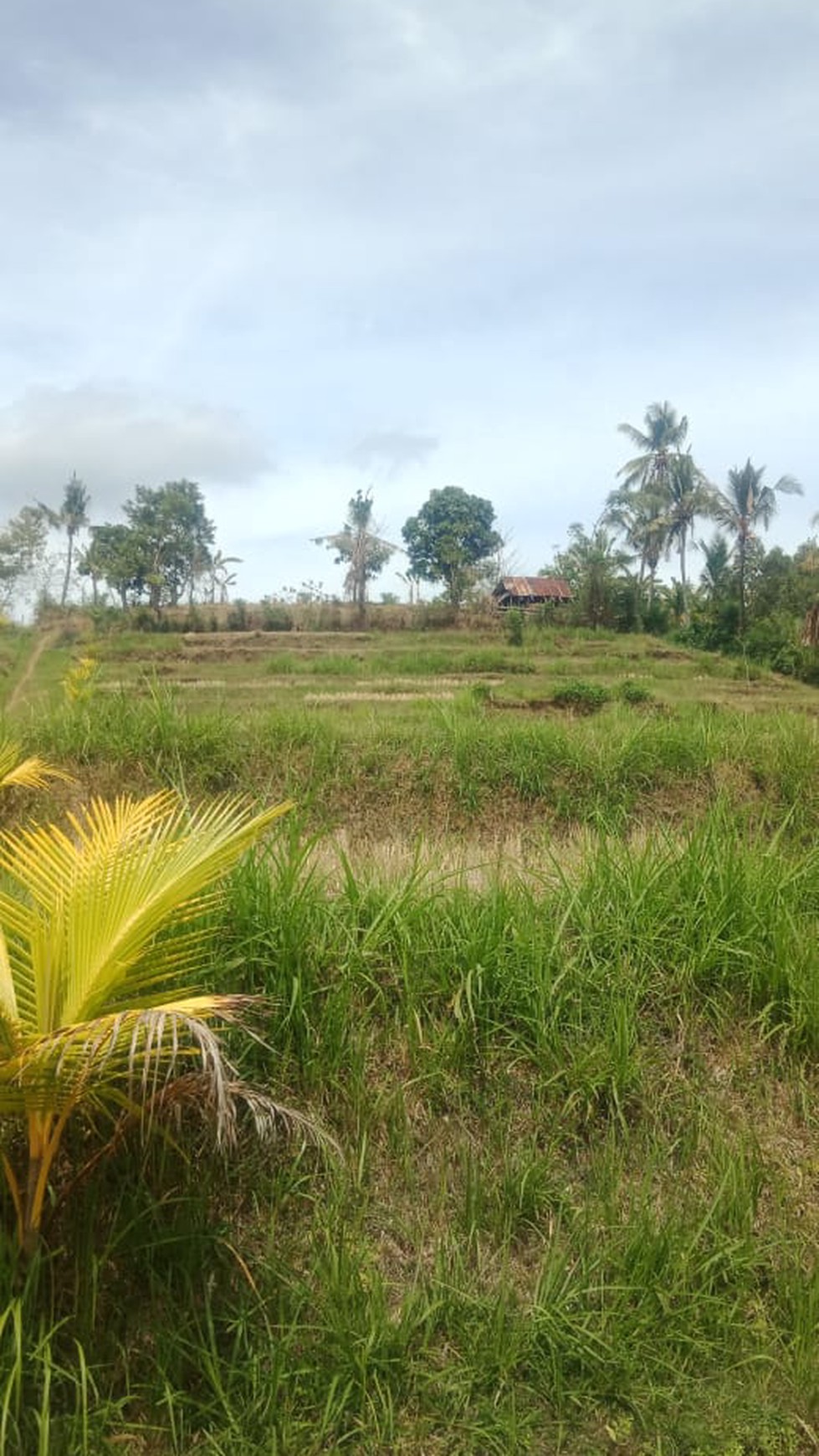 LAND WITH BEAUTIFUL VIEW FOR SALE