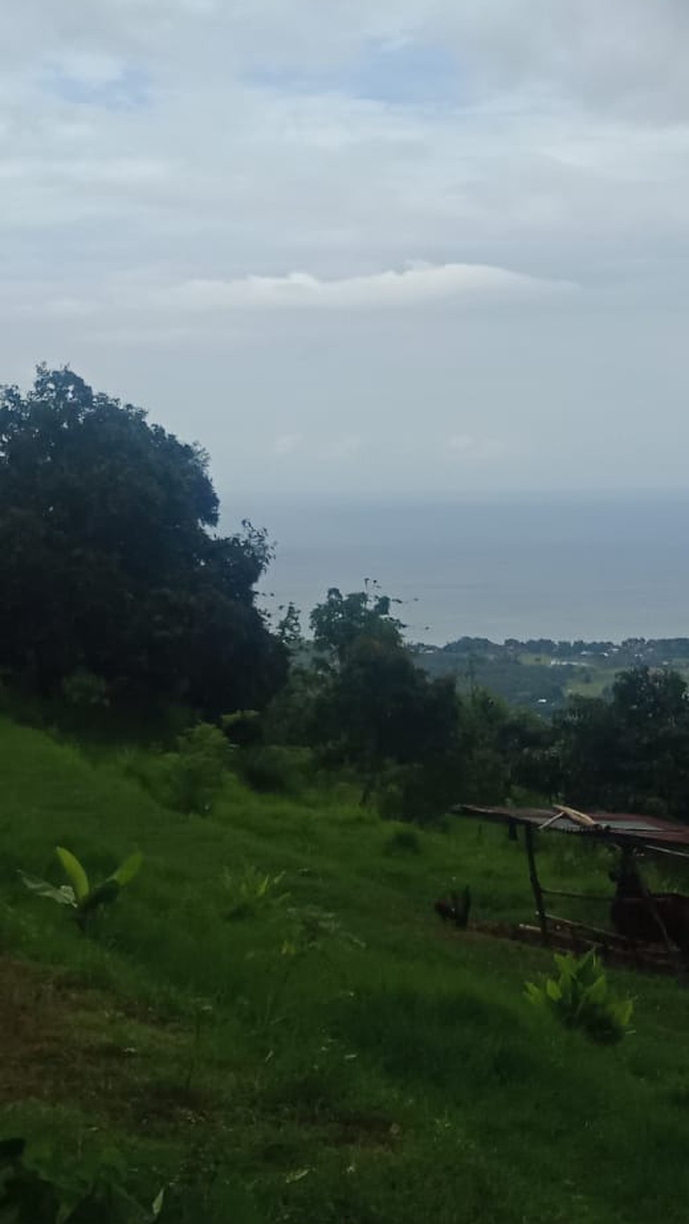 BEAUTIFUL SEA VIEW LAND FOR SALE IN LOVINA