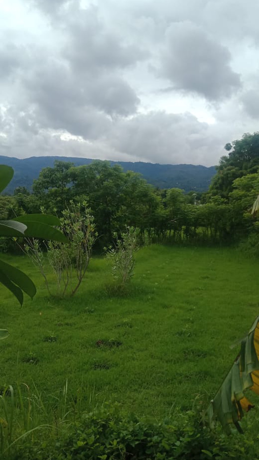 LAND WITH NICE VIEW FOR SALE IN LOVINA