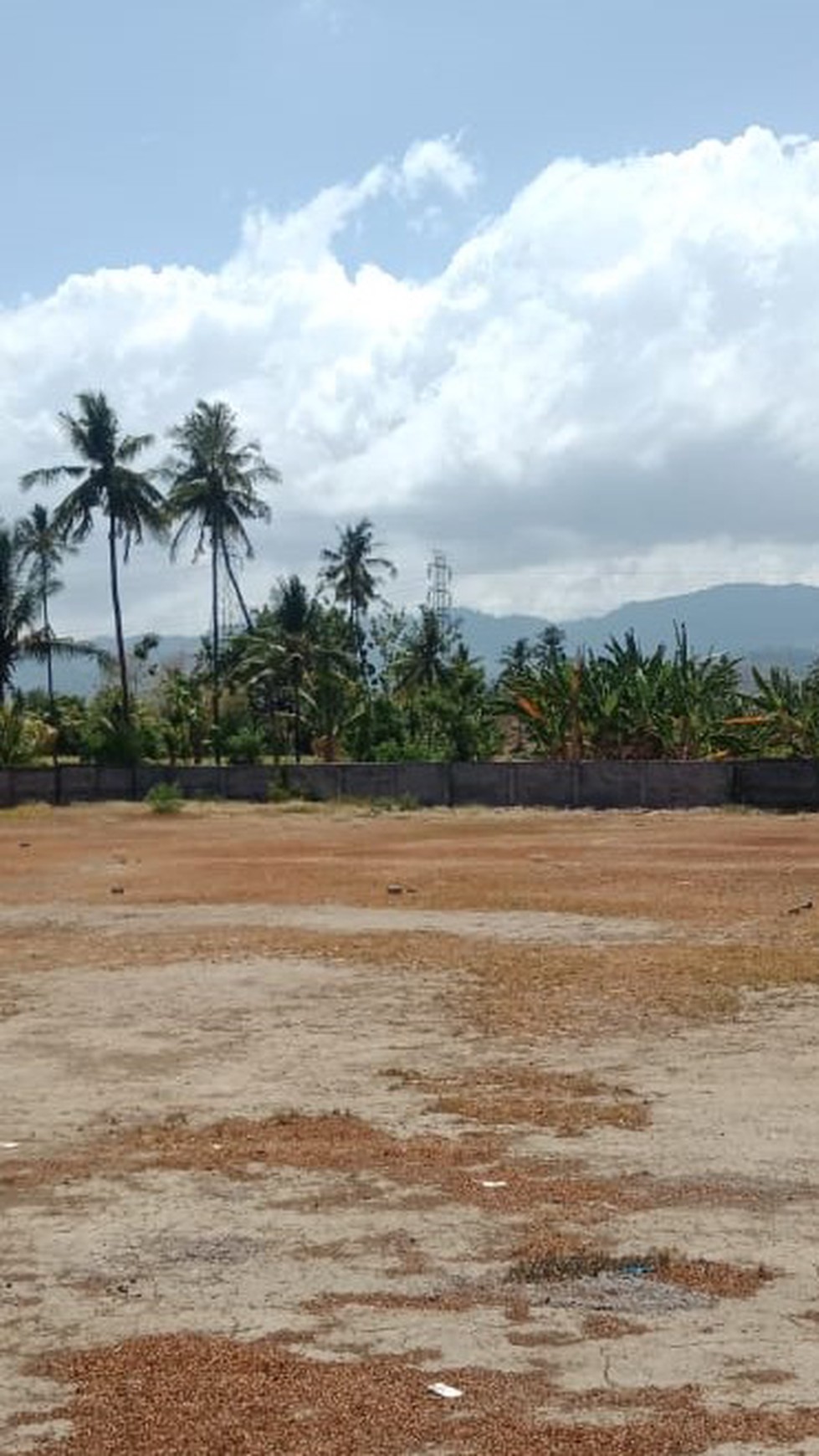 LAND FOR SALE IN NORTH BALI