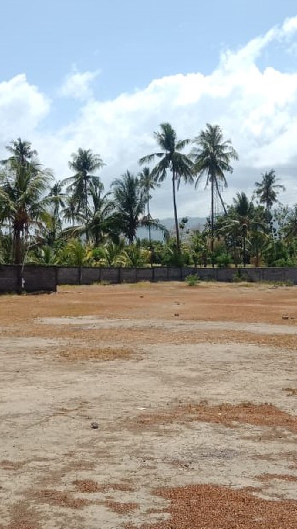 LAND FOR SALE IN NORTH BALI