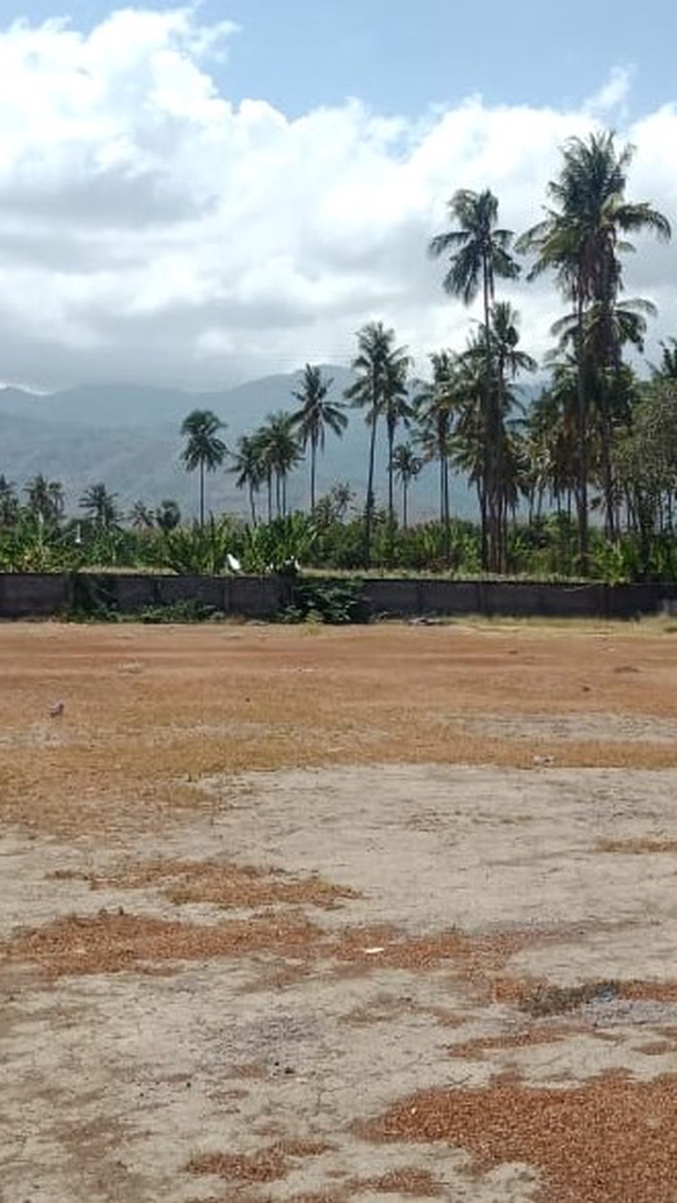 LAND FOR SALE IN NORTH BALI