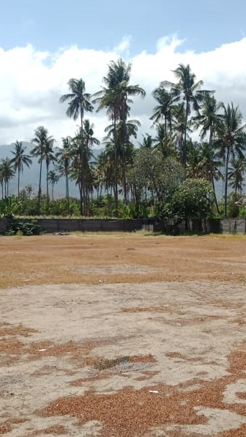 LAND FOR SALE IN NORTH BALI