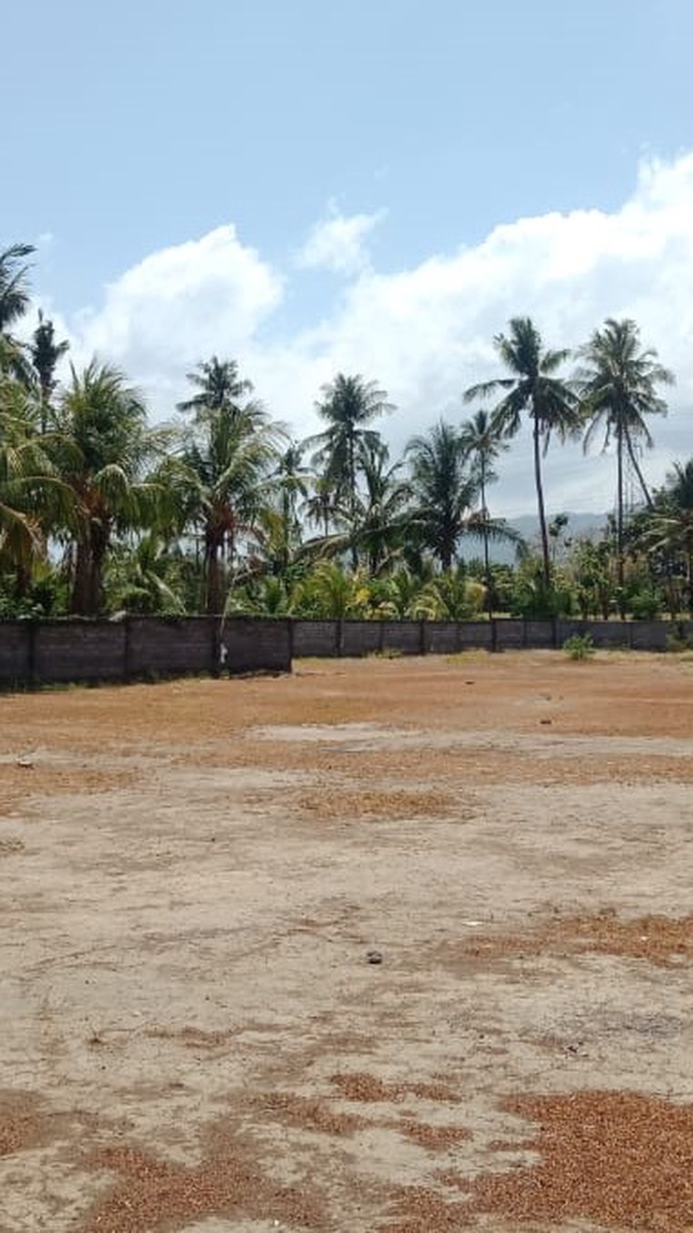 LAND FOR SALE IN NORTH BALI