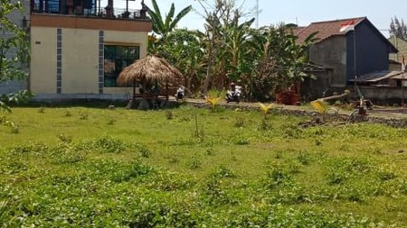 LAND FOR SALE IN CENTRAL LOVINA