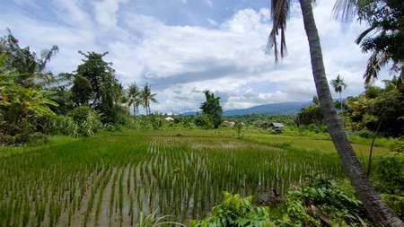 Land with Rice Field View For Sale in Lovina