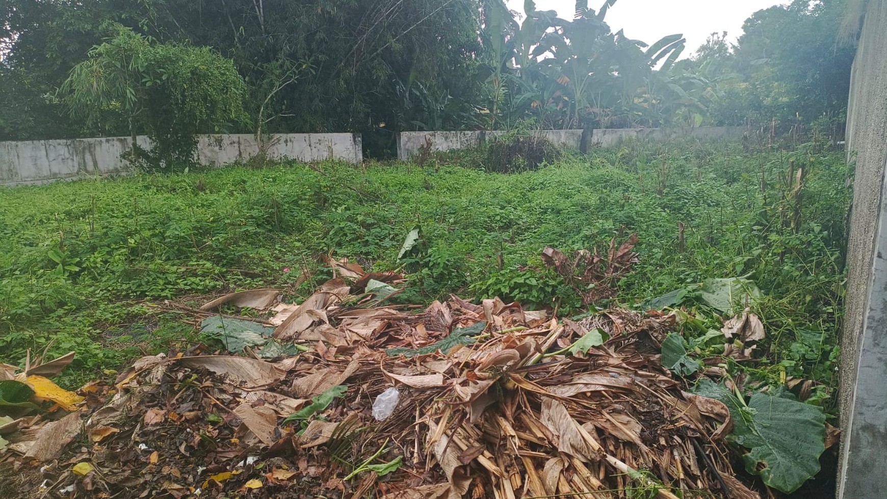 For Sale Leasehold Land in Umalas Tunon.