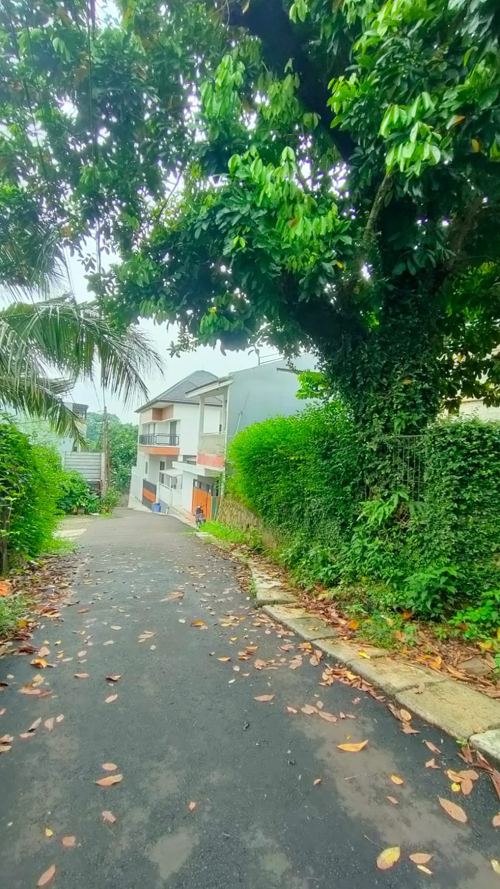 Rumah Lama Hitung Tanah di Jl Lembah  Cirendeu Tangsel