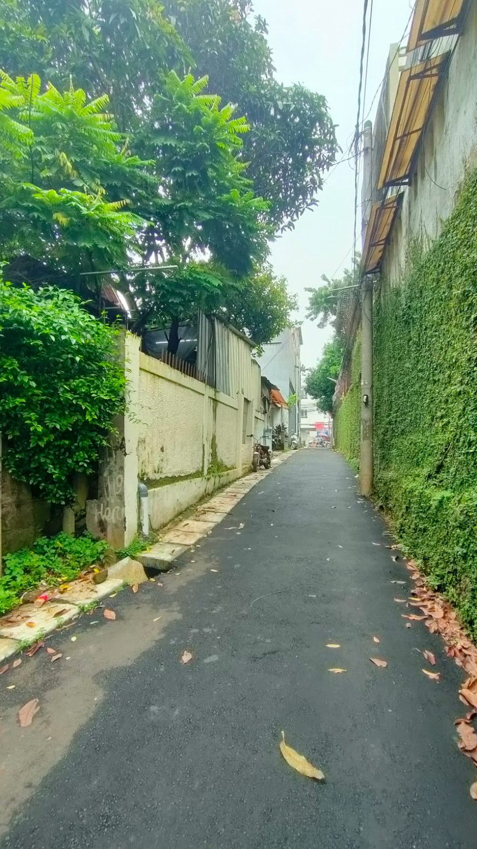 Rumah Lama Hitung Tanah di Jl Lembah  Cirendeu Tangsel