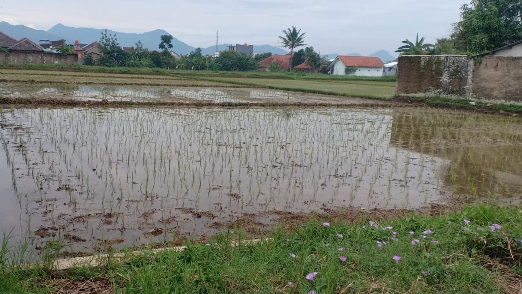 Tanah Luas di Junti Girang (Gandasoli Cikambuy) Gandasari Katapang Kab Bandung