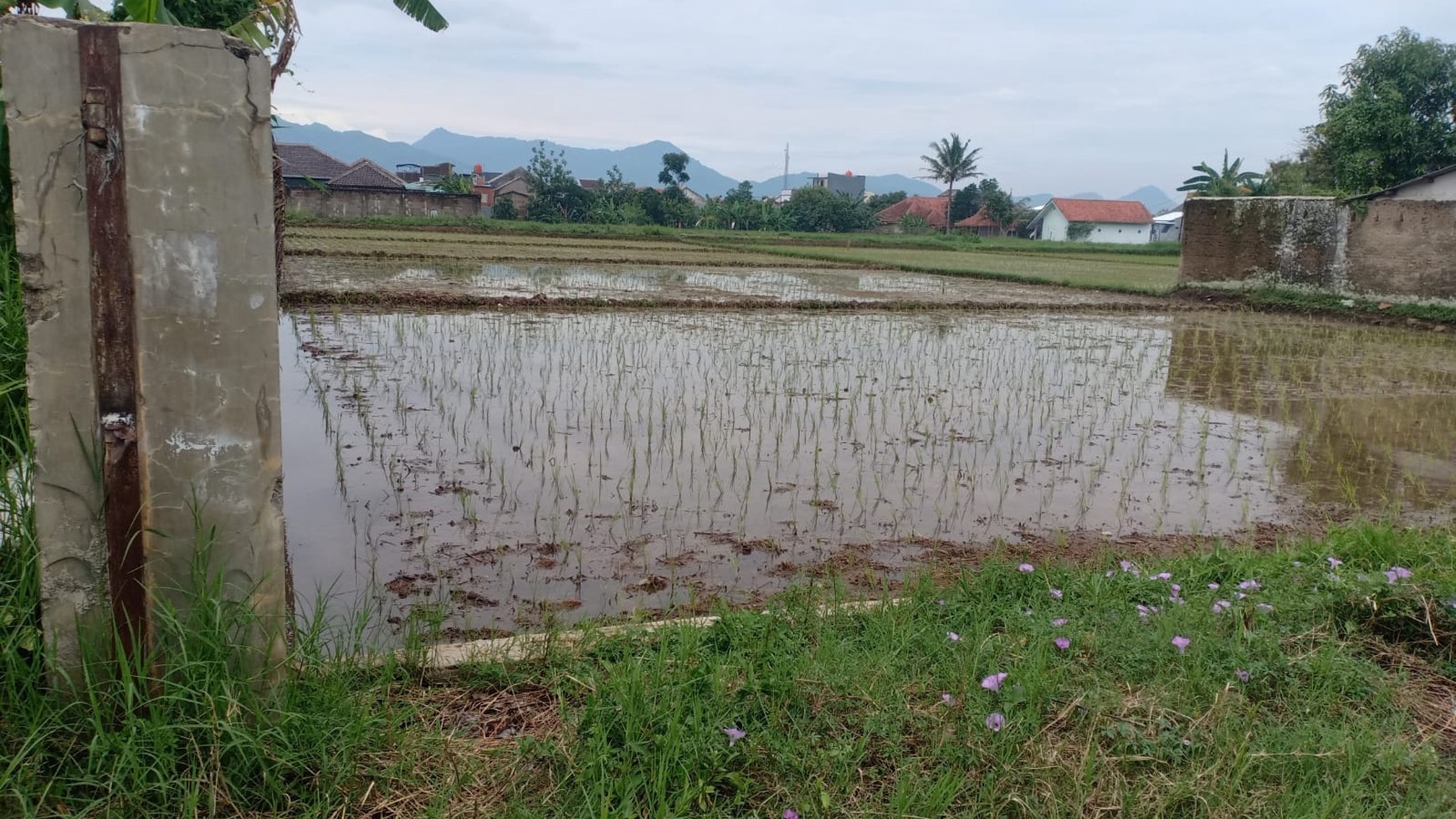 Tanah Luas di Junti Girang (Gandasoli Cikambuy) Gandasari Katapang Kab Bandung