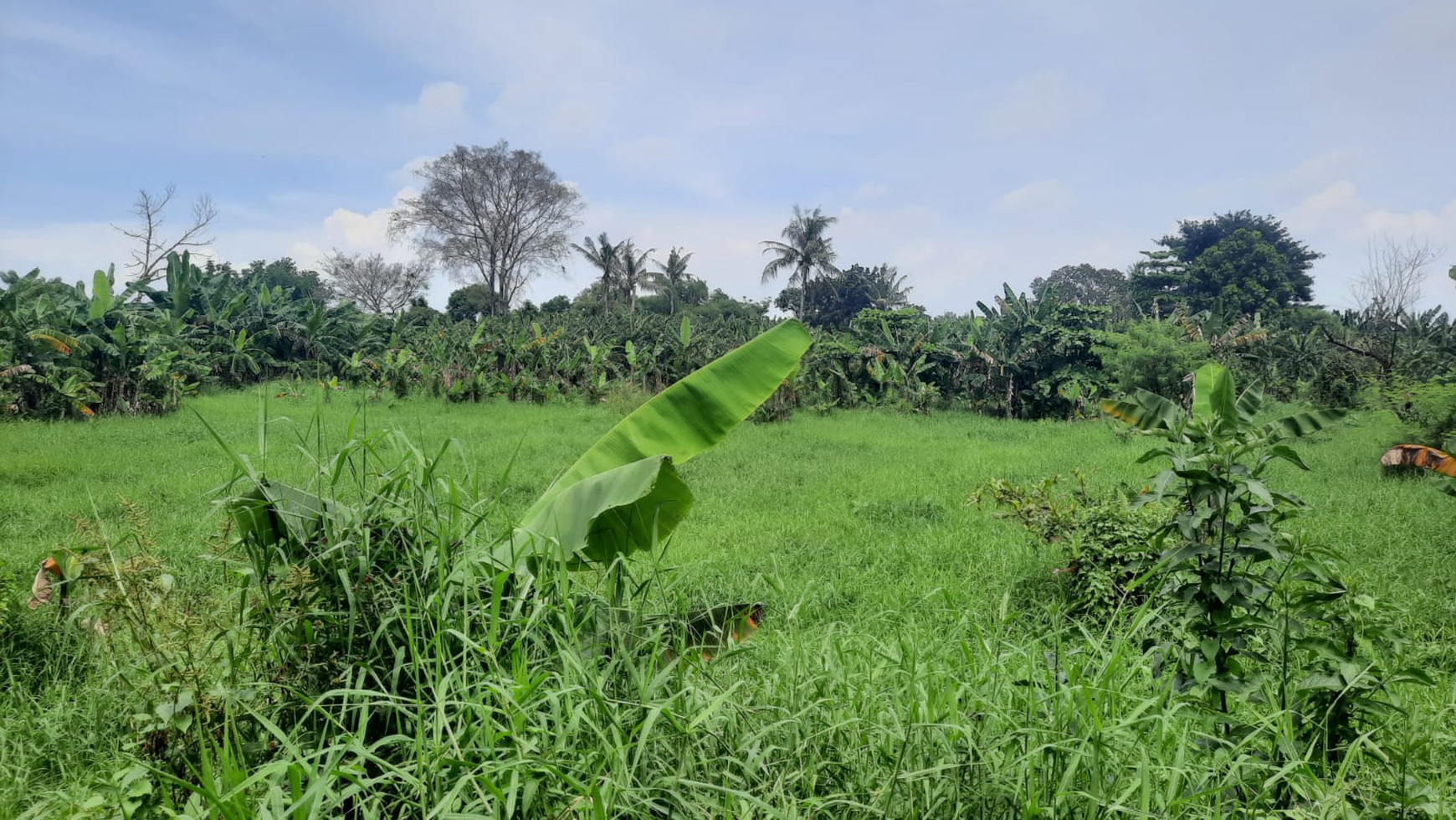 Tanah Luas Jatirahayu Bekasi 