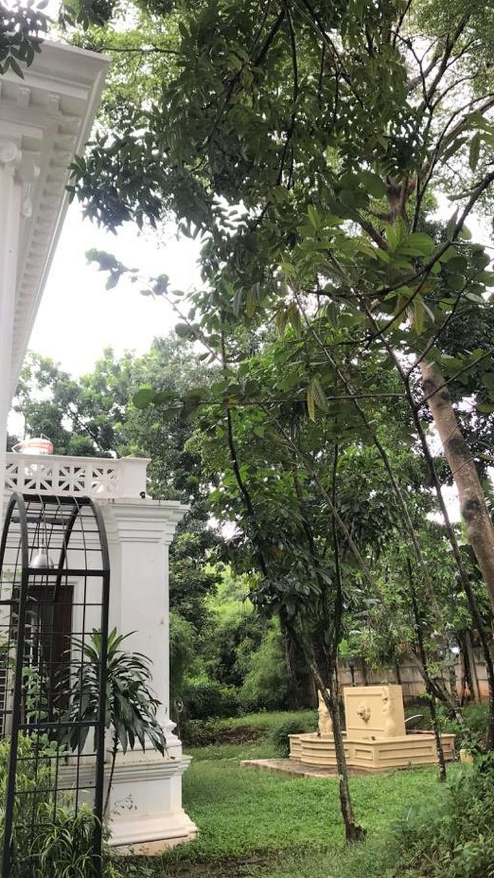 Dijual Rumah mewah Siap Huni Lokasi Di Jagakarsa Jakarta Selatan