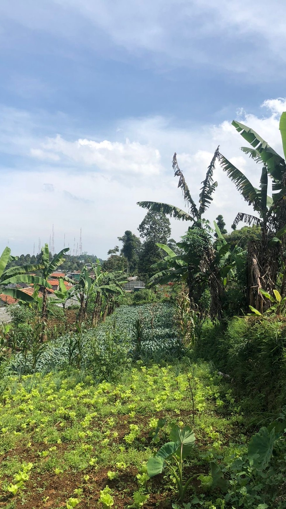 TERMURAH Kavling Tanah sekitar Lembang ditas 1000 mdpl