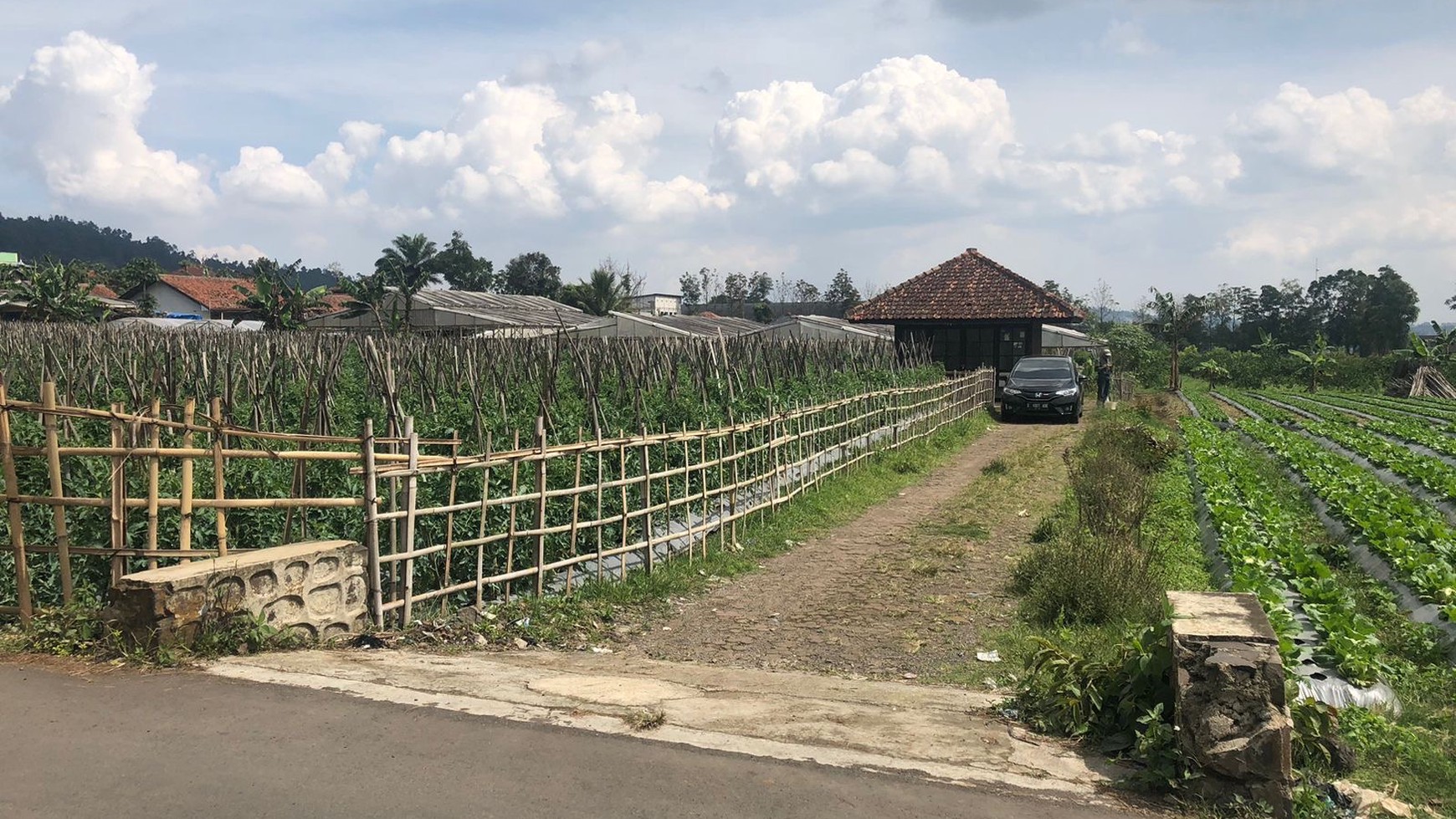 TERMURAH, Tanah Kavling Subur di Maribaya Lembang 