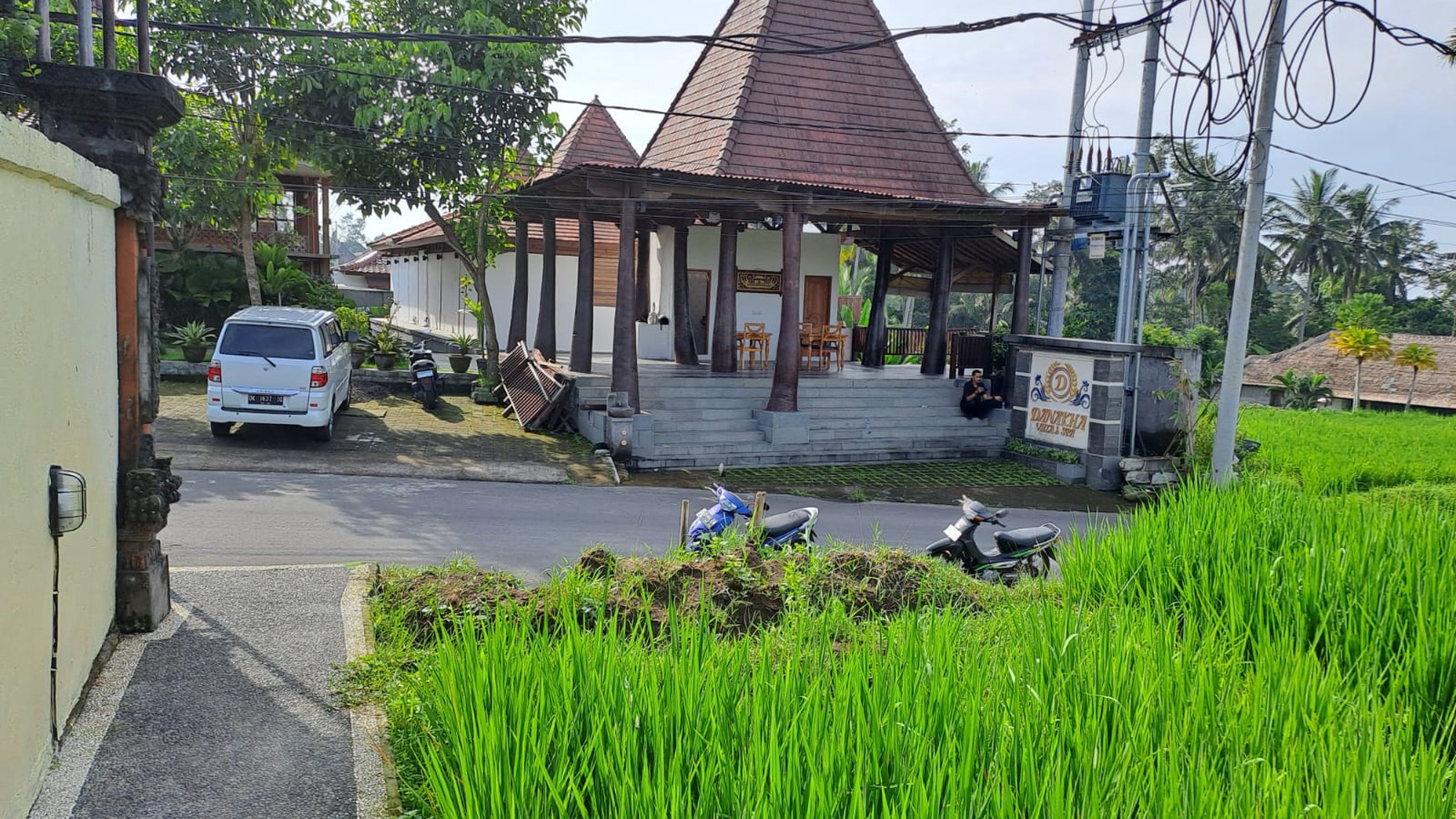 Dijual Tanah Cocok Untuk Villa View Alam Cantik Di Daerah Ubud Bali 