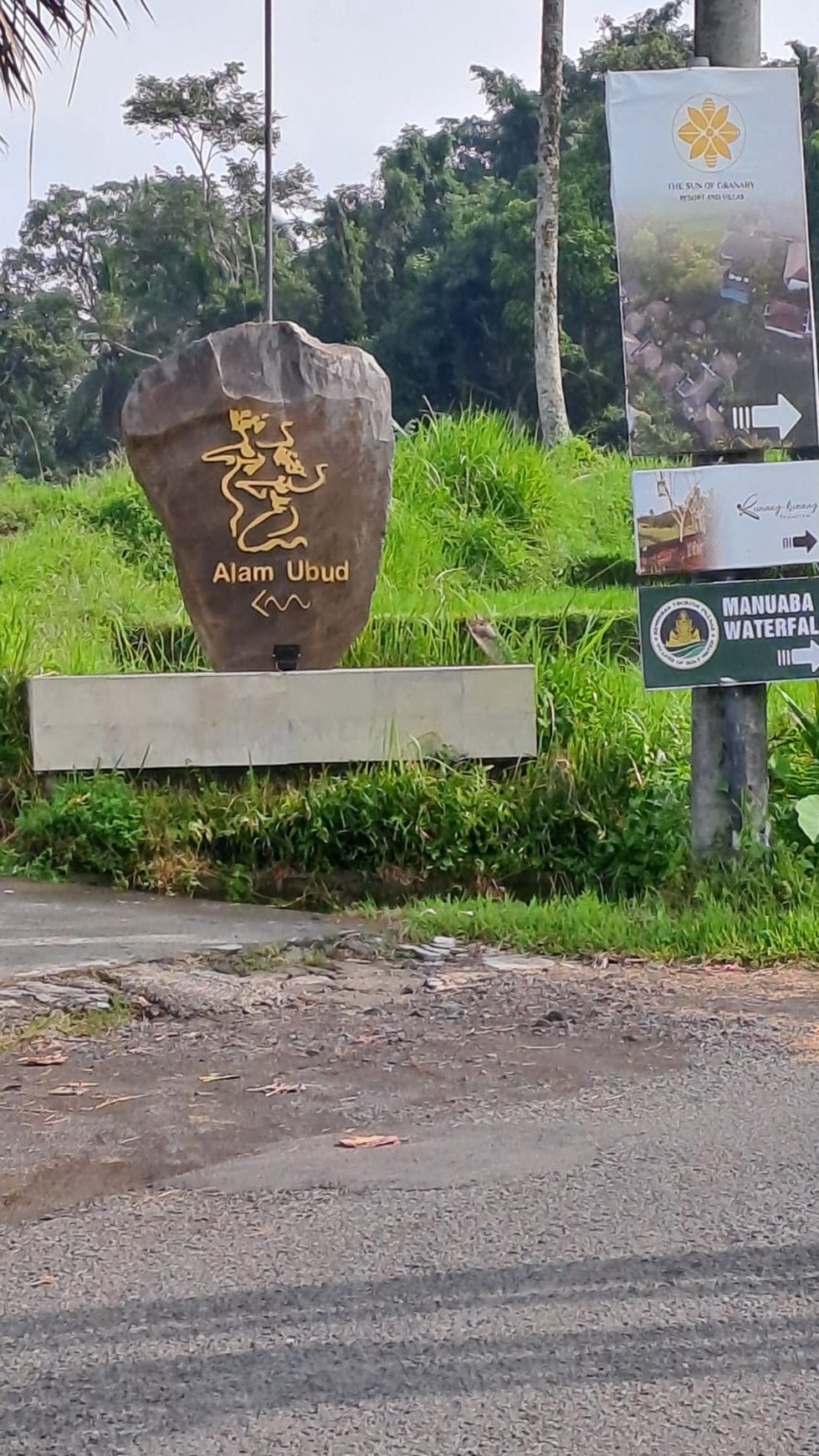 Dijual Tanah Cocok Untuk Villa View Alam Cantik Di Daerah Ubud Bali 