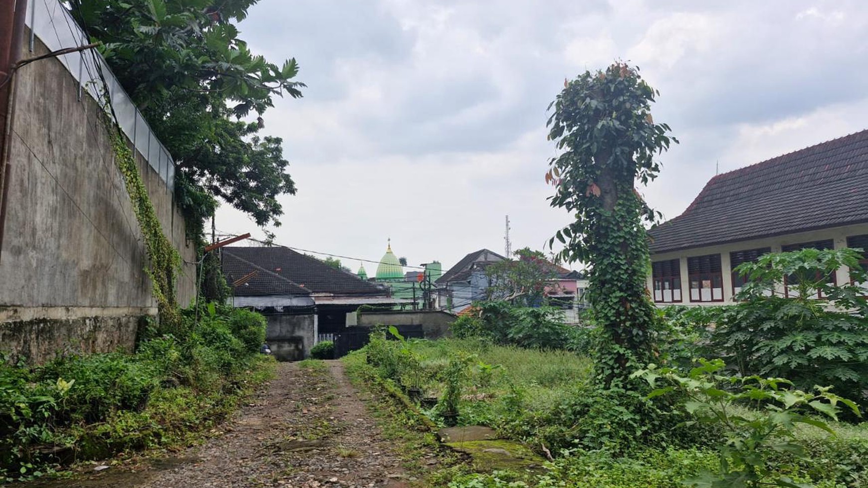 Rumah tua hitung tanah, strategis, di Jl. Kamboja, Pejaten Barat, Jakarta Selatan 