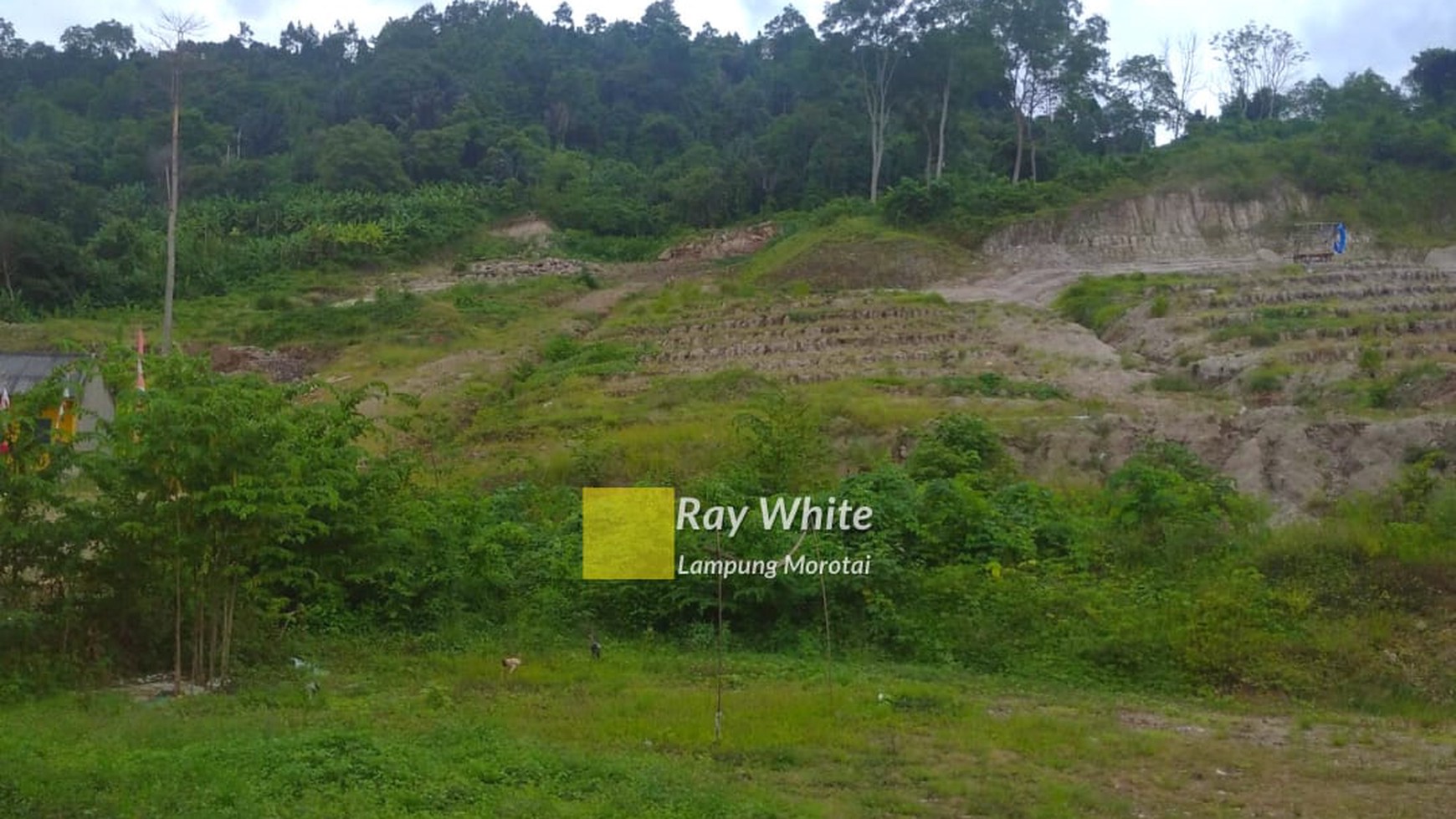 Dijual Tanah di Teluk Betung Timur, Bandar lampung