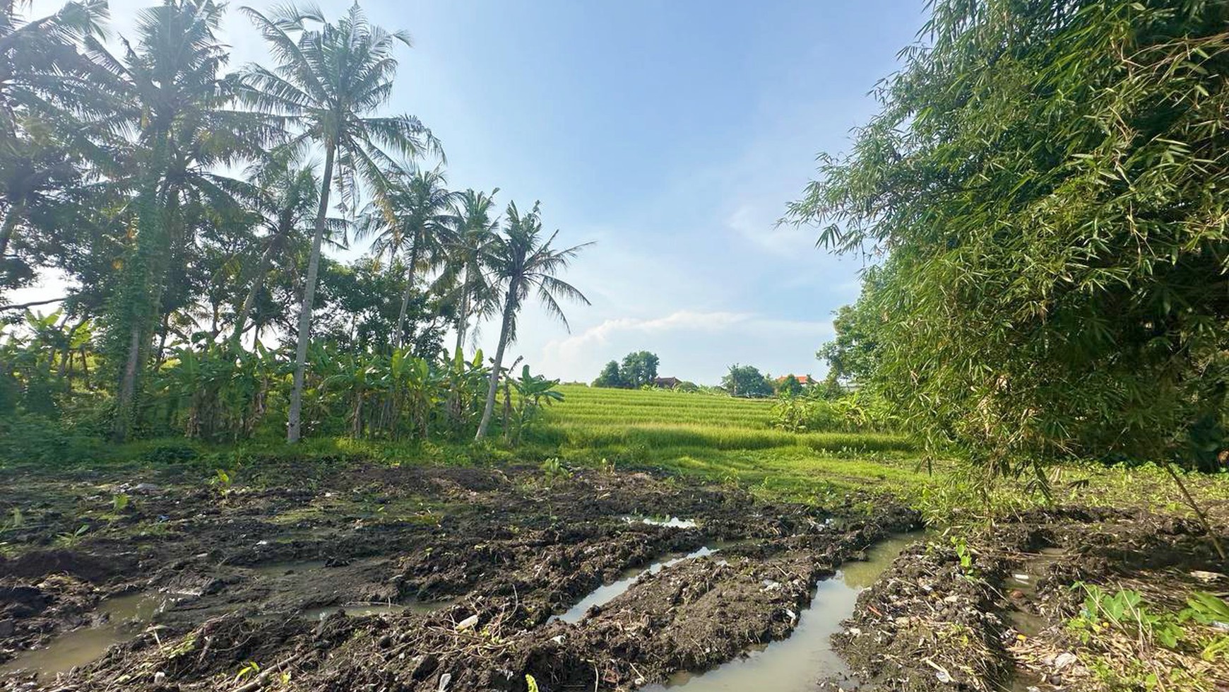 Freehold - Startegic and in By Pass Tanah Lot