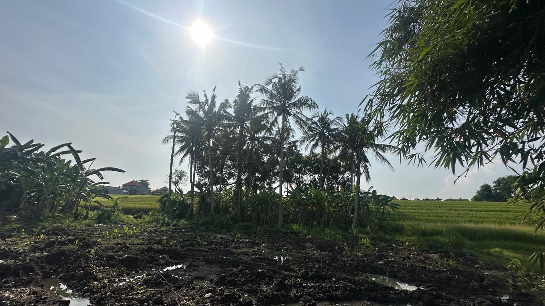 land in Nakula area,Badung area