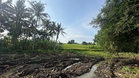 Freehold - Land in Nakula area, Denpasar Barat