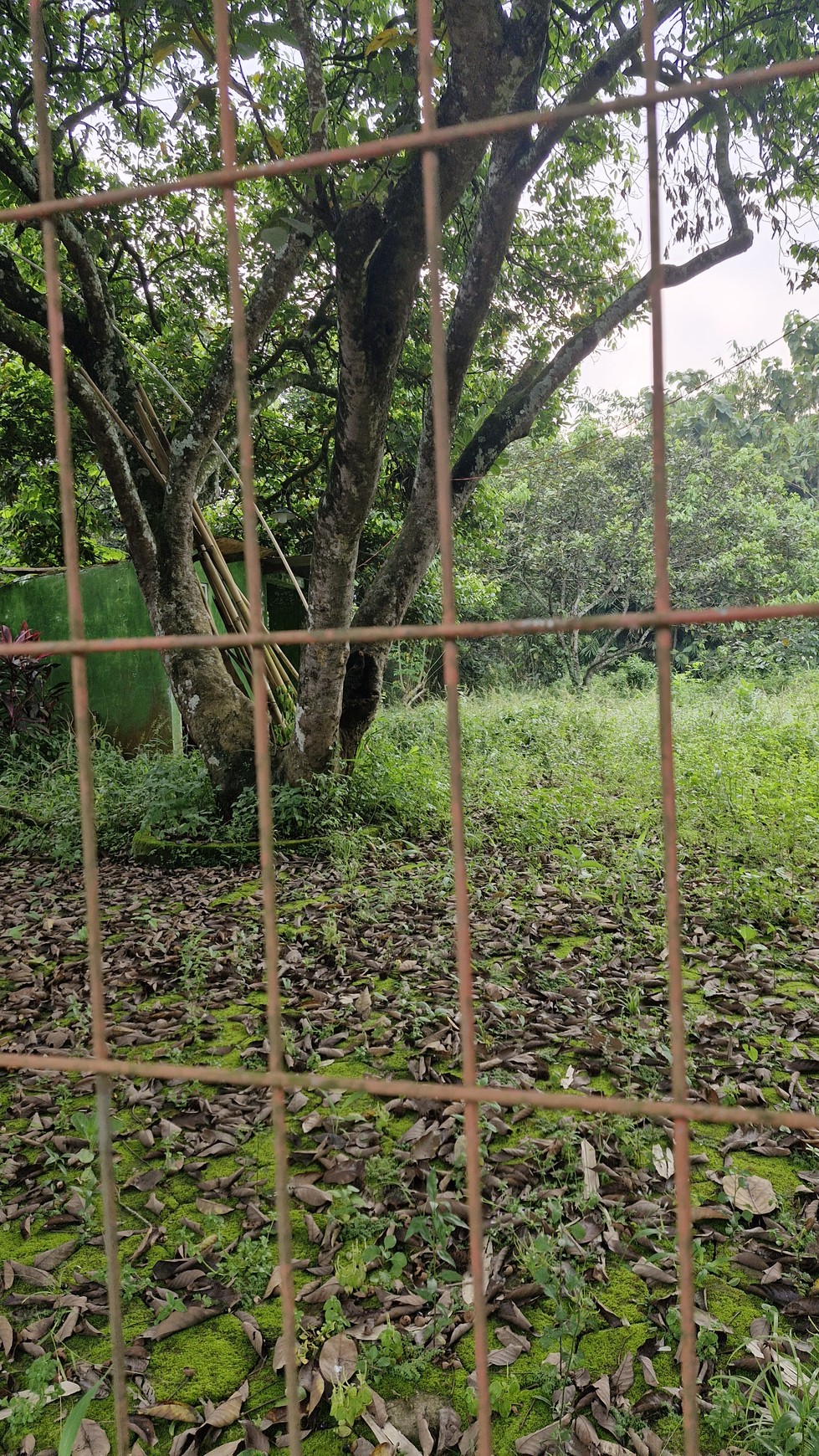 tanah luas bentuk kotak Cocok untuk perumahan cluster Bekasi, Jawa Barat