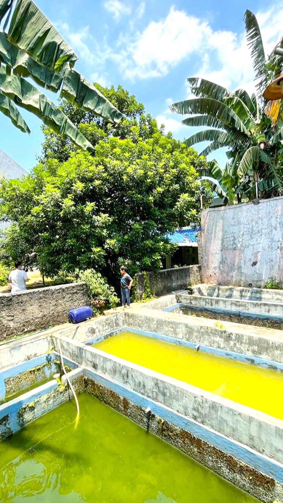 Rumah Klasik Hitung Tanah di Petukangan, Pesanggrahan, Jaksel #WWAL