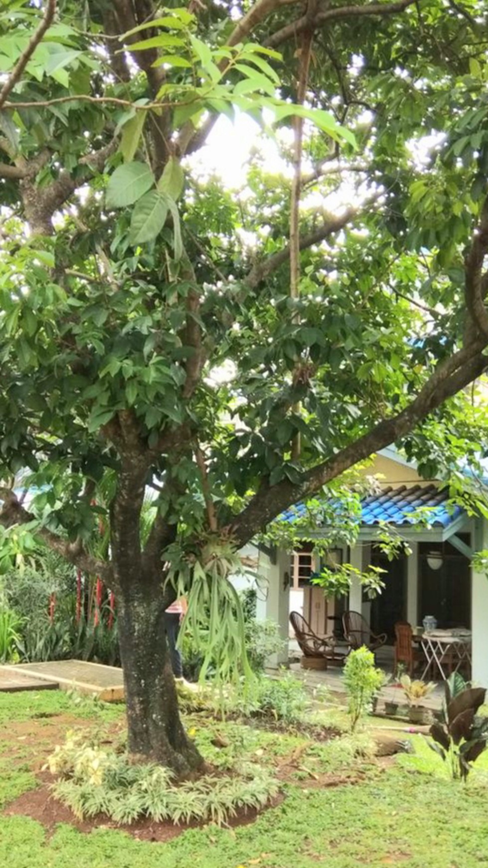 Rumah Klasik Hitung Tanah di Petukangan, Pesanggrahan, Jaksel #WWAL