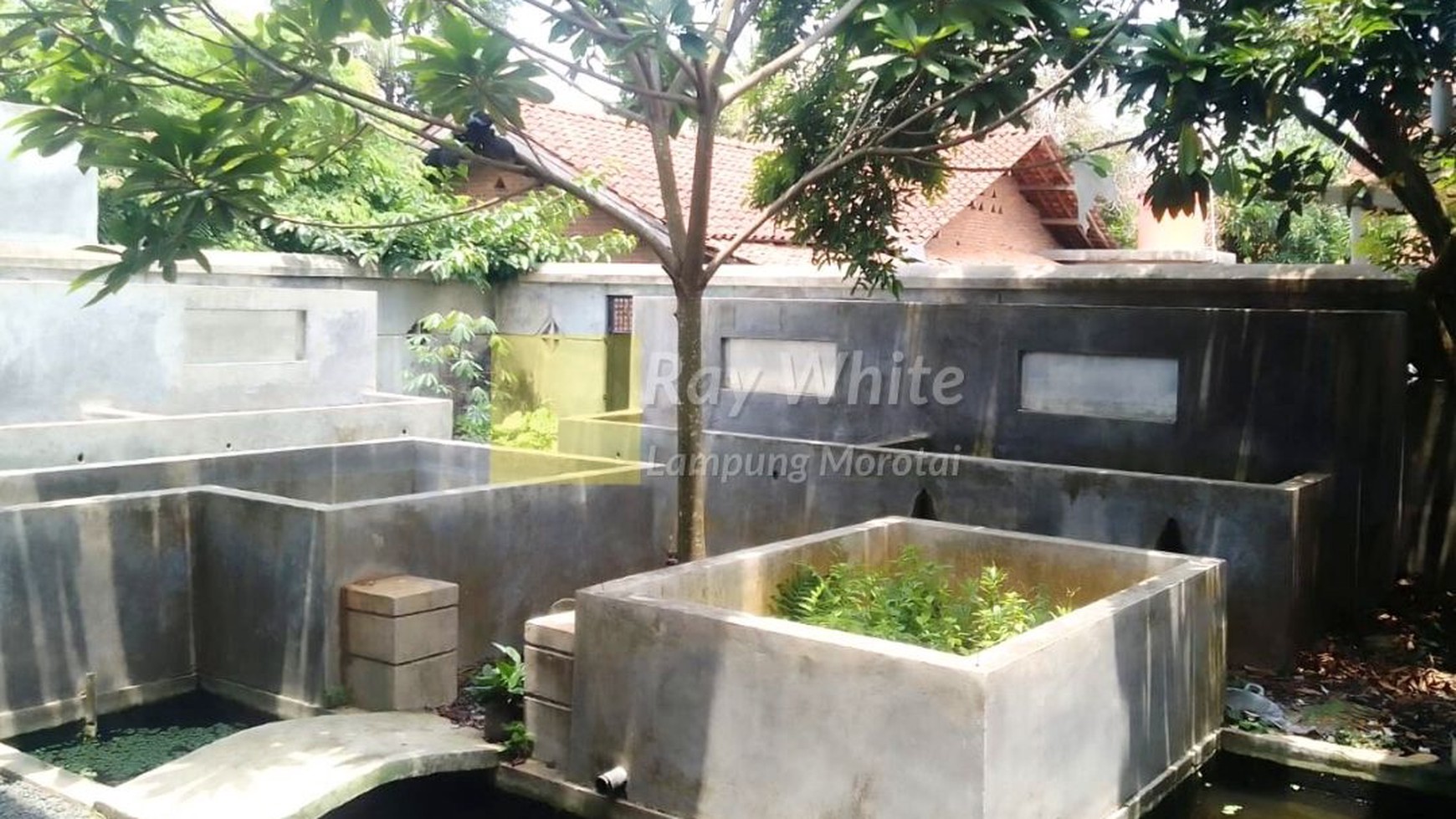 Dijual Rumah Tanjung Senang 