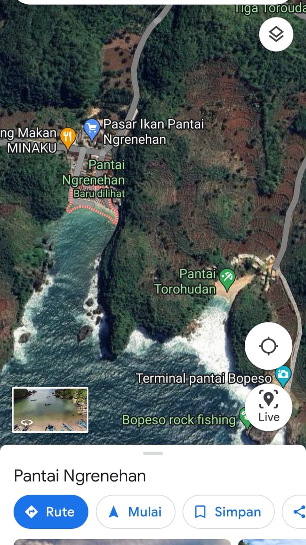 Tanah Luas 15554 Meter Persegi di Lokasi Pantai Ngrenehan Gunung Kidul 