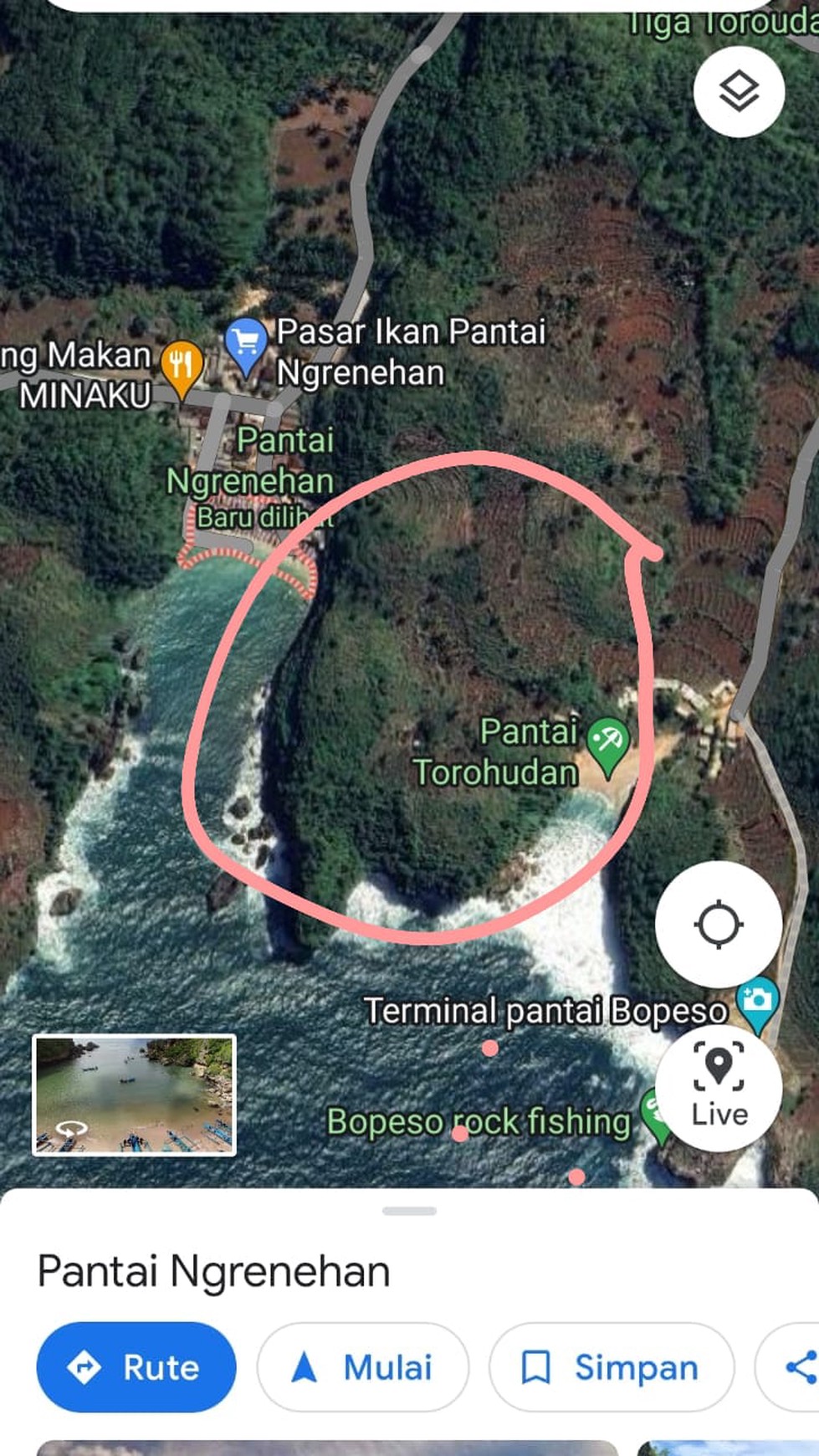 Tanah Luas 15554 Meter Persegi di Lokasi Pantai Ngrenehan Gunung Kidul 