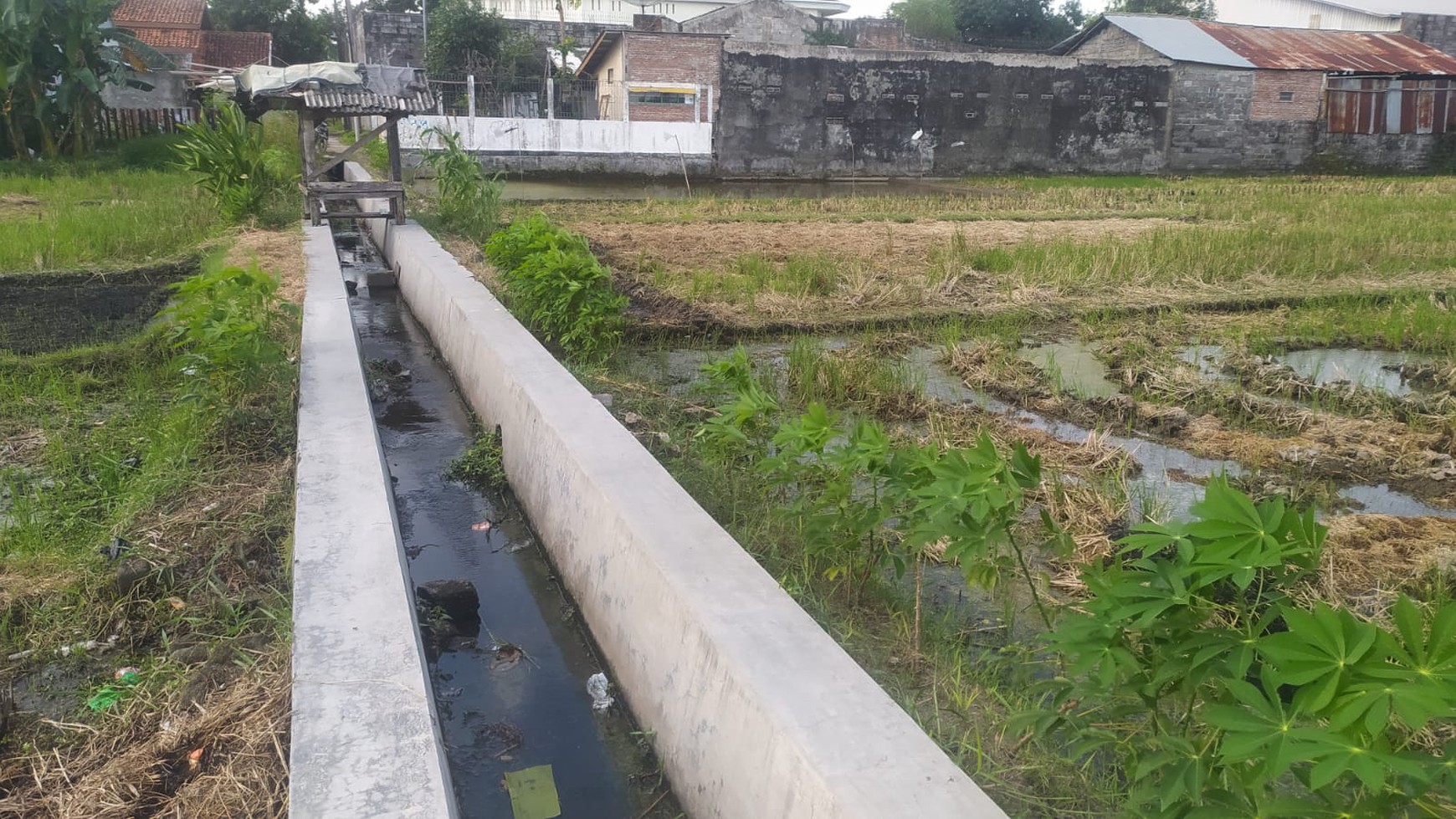 Disewakan Tanah Pekarangan Luas 1500 Meter Persegi Lokasi Strategis di Umbulharjo 