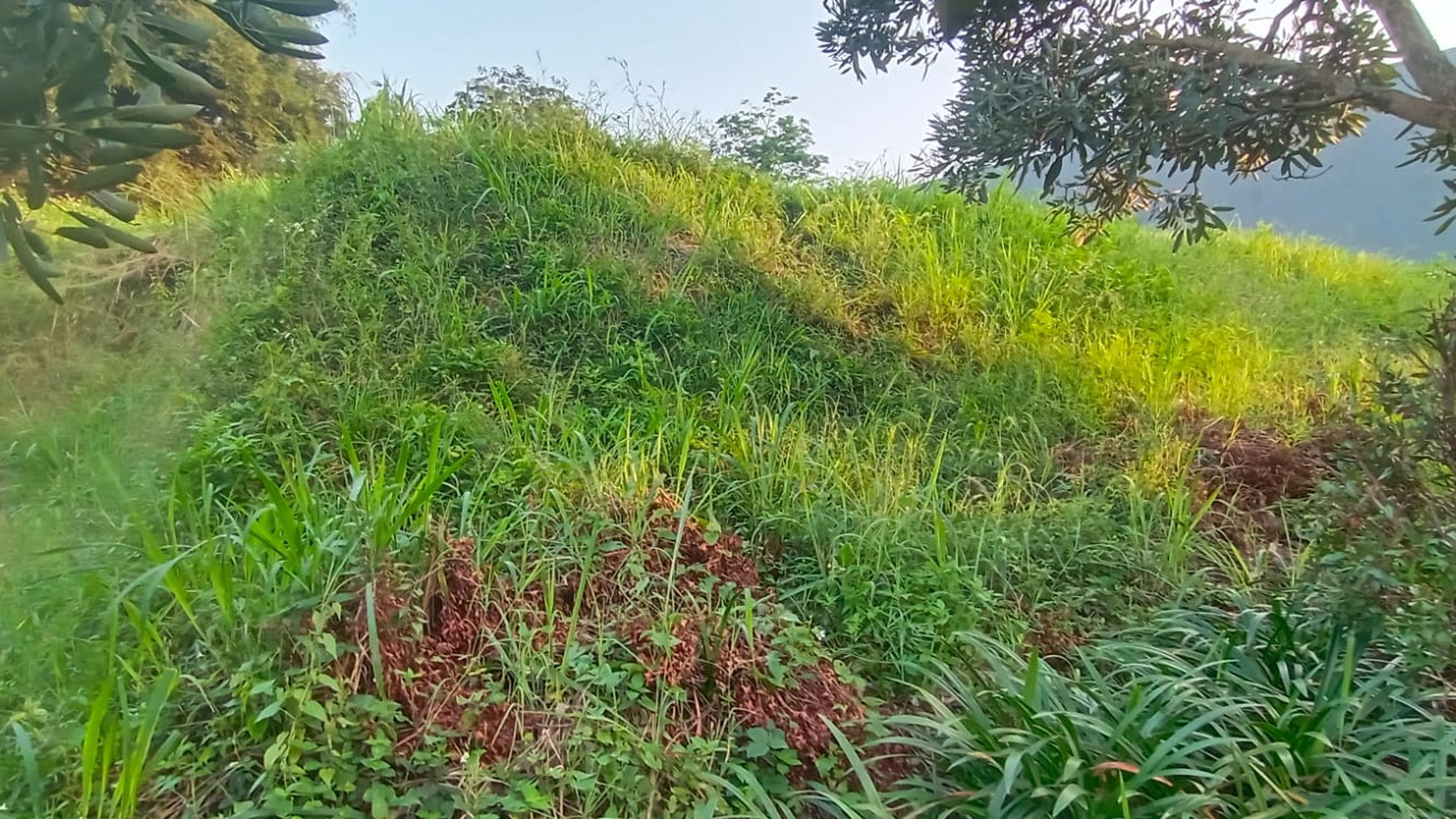 Tanah Siap Bangun di Komplek Setraduta Bandung