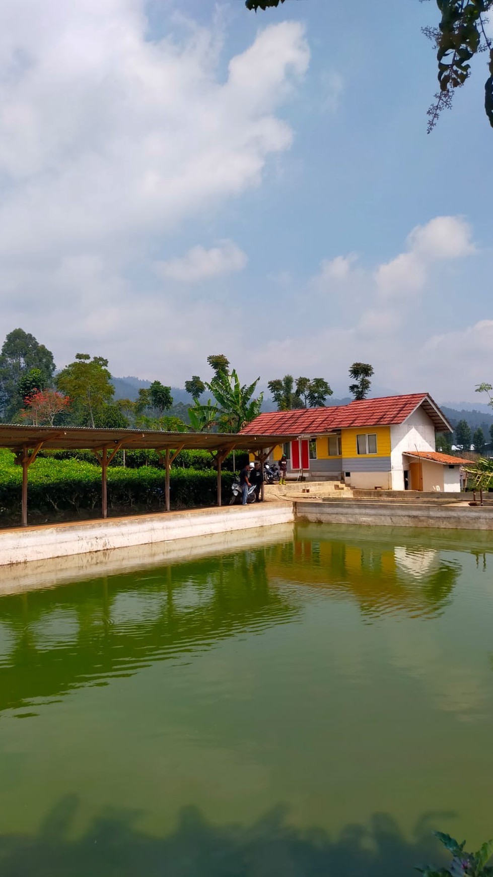 Tanah Kebun Teh di Ciwidey  Ada Bangunan dan Kolam