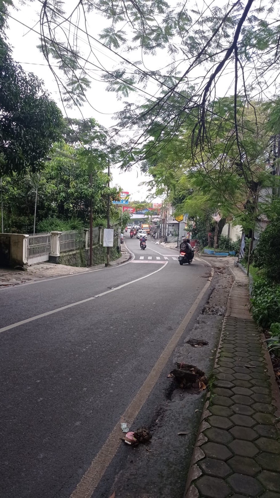 Rumah Authentic Tanah Luas di Kota Bandung 