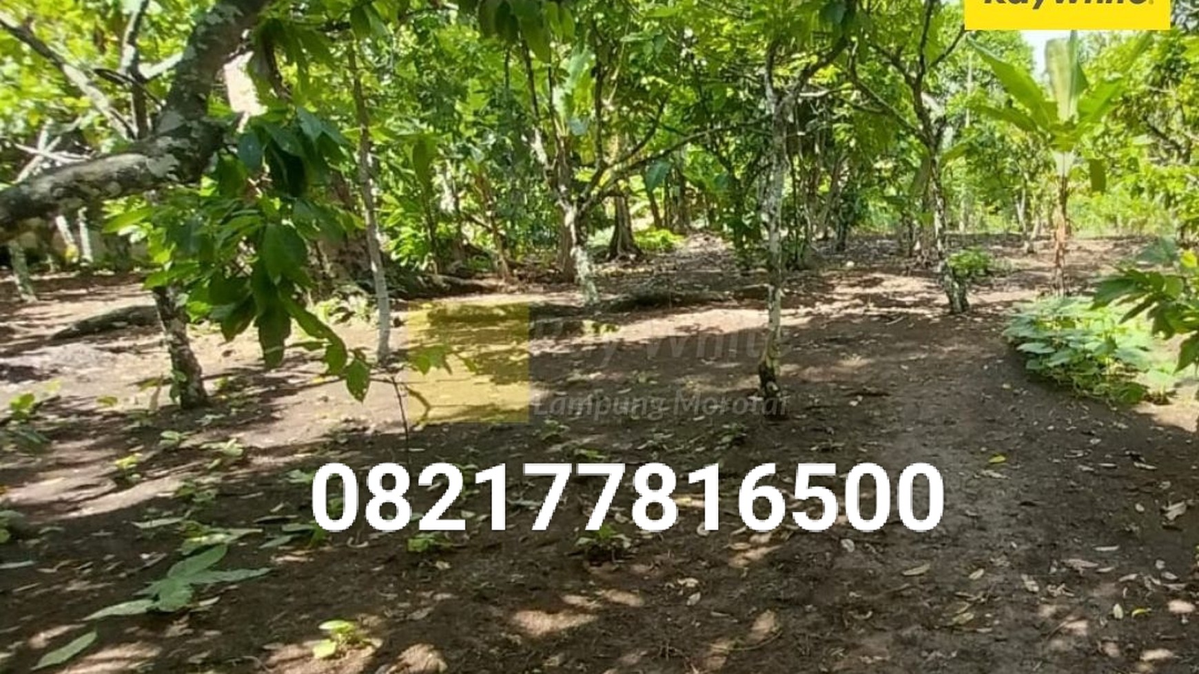 Dijual Tanah 400 ribu/ meter nego lokasi Batu putu bandar lampung