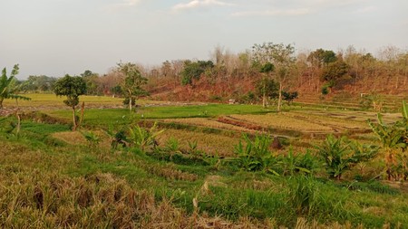 Tanah di Sumberkembar, Pacet Mojokerto